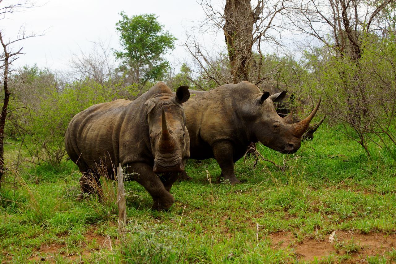 Casa de Férias Hippo House